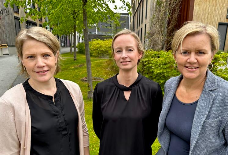 Aneo inngår samarbeid med Renewable Power Capital om fysisk krafthandel i Sverige